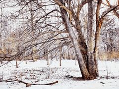 -长春市南湖公园