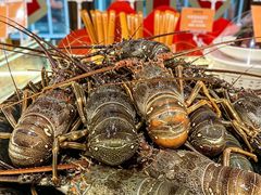 -南海渔村(珠江新城店)