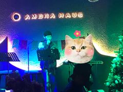 -Ambra Haus琥珀屋精酿餐厅(宝山店)