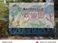-福田红树林生态公园
