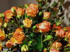 -御品轩(凤城二路店)