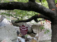 -洛阳白云山景区