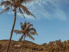 -三亚南山文化旅游区