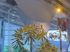 -渔语鱼酸菜鱼新川菜(来福士店)