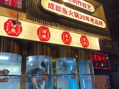 -蜀滋香鲜鱼美蛙火锅(339店)