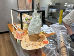 -野人先生现做冰淇淋(北京环宇荟店)