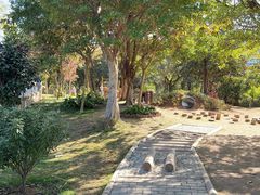 -福田红树林生态公园
