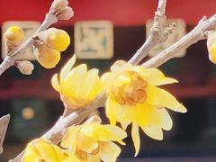 -国家植物园南园