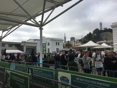 -阿尔卡特拉斯岛