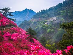 -木兰云雾山