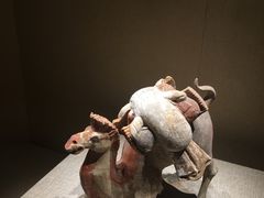 -宁夏博物馆