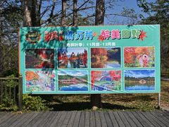 -田野绿世界