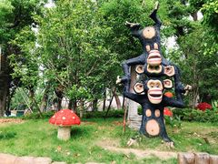 -苏州乐园森林水世界