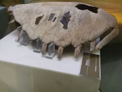 -嘉定博物馆