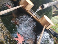 -西芳寺(苔寺)