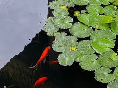 -兰亭风景区