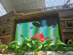 -望儿山温泉水乐园