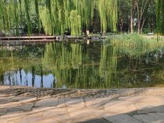 -玲珑塔公园