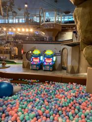 -卡通尼·Safari非洲探索乐园·生日会(金桥国际商业广场店)