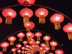 -空港花田景区