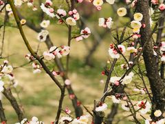 -蜀冈西峰生态公园