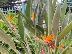 -国家植物园南园