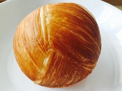 -BLACKSWAN黑天鹅(环球店)