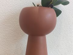 -沙丘咖啡DUNE COFFEE(深业水松大厦店)