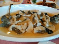 android_upload_pic-申粤轩酒楼·三十年粤菜经典(丁香花园店)