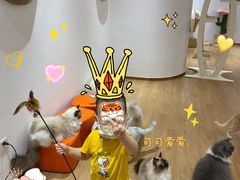 -1013 PET SHOP精品宠物商店(丁香店)