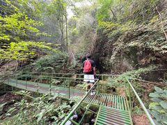 -藏龙百瀑风景区