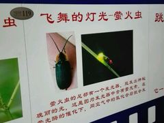 -上海昆虫博物馆