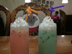 -more than meow吴止猫主题餐厅(承德 中船汇店)