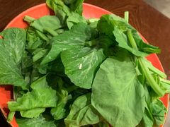 -滇野云南野生菌餐厅(陕西南路店)