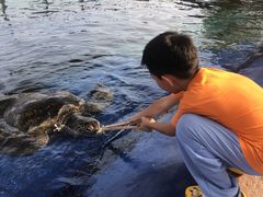 -北戴河圣蓝海洋公园