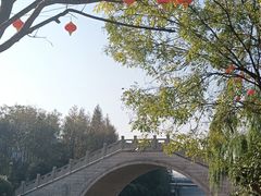 -三林塘老街