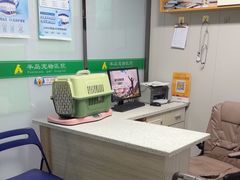 -半岛宠物医院24小时(科华中路店)