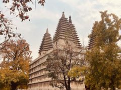 -北京石刻艺术博物馆(五塔寺)