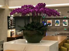 -深圳机场凯悦嘉轩酒店