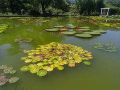 -国家植物园南园