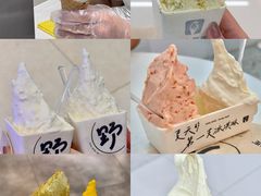 -野人先生现做冰淇淋(北京环宇荟店)