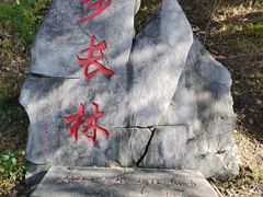 -北京十三陵国家森林公园蟒山景区