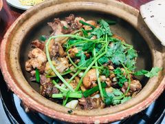 招牌土鸡煲-华仔土鸡店(南洲分店)