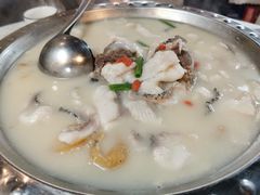 -陈生记黑鱼馆·20年活鱼现杀(宁波鼓楼店)