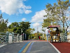 -上海长兴岛郊野公园