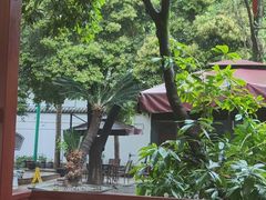 -生宇山珍野生菌汤锅•始于2002(双流古塔店)