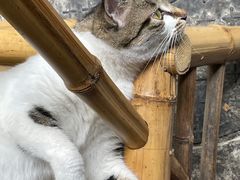 -铜瓢江湖兔火锅(水碾河社区店)