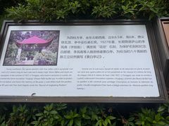 -庐山风景区花径公园