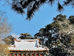 -北陵公园