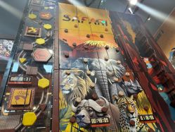 -卡通尼·Safari非洲探索乐园·生日会(金桥国际商业广场店)